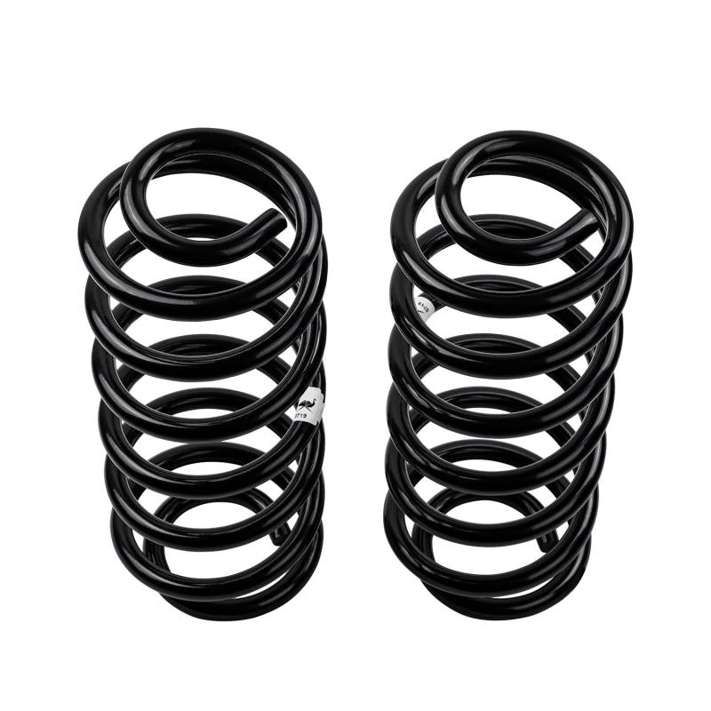 Old Man Emu 3138 Rear Coil Spring Set for 2018-2020 Jeep Wrangler JL